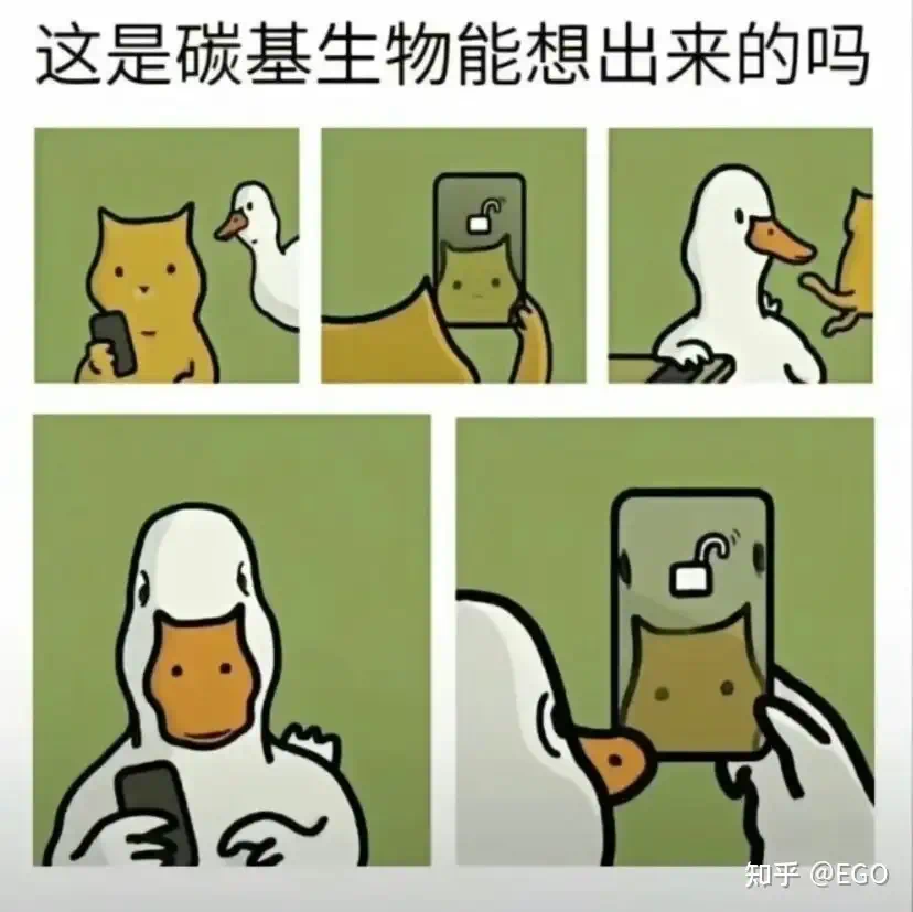IMG_3763.PNG