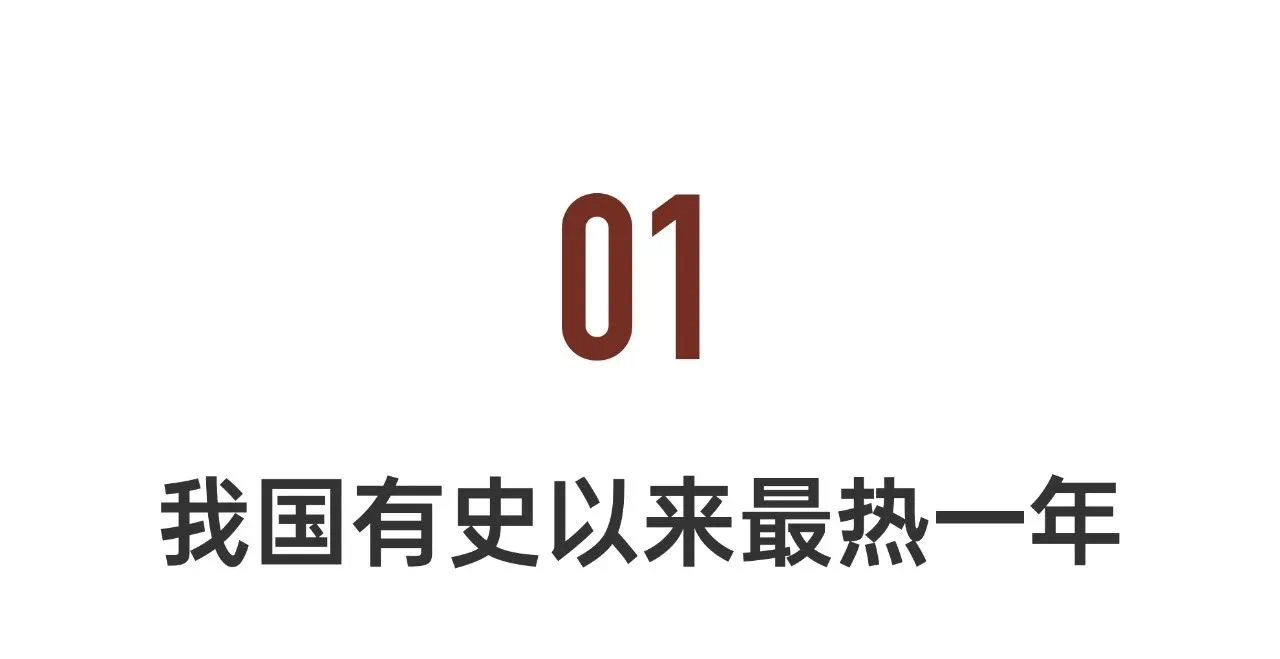 IMG_4261.PNG