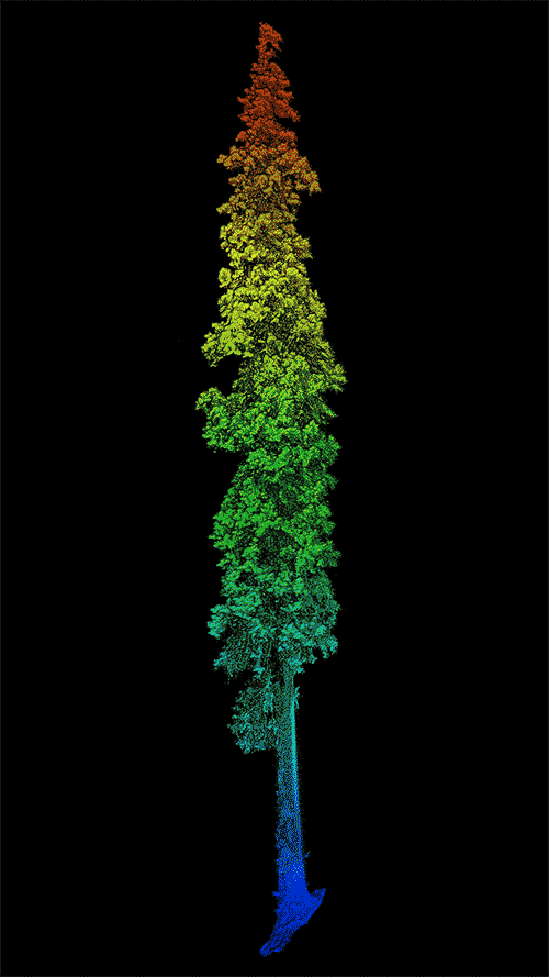 a4.gif