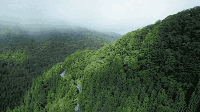 IMG_6502.GIF