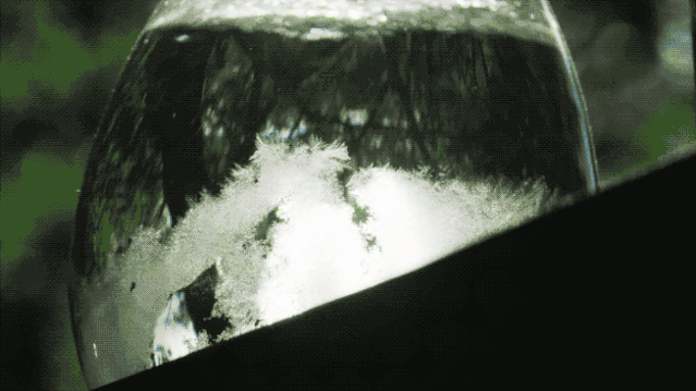 IMG_6525.GIF