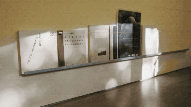 IMG_6527.GIF