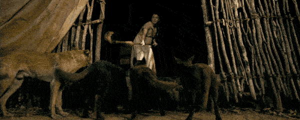 70-ezgif.com-optimize.gif